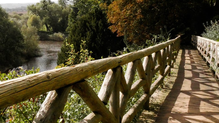 The bridge at The Weir Garden, surrounded by trees displaying vibrant autumn colours, overlooking a section of the River Wye.